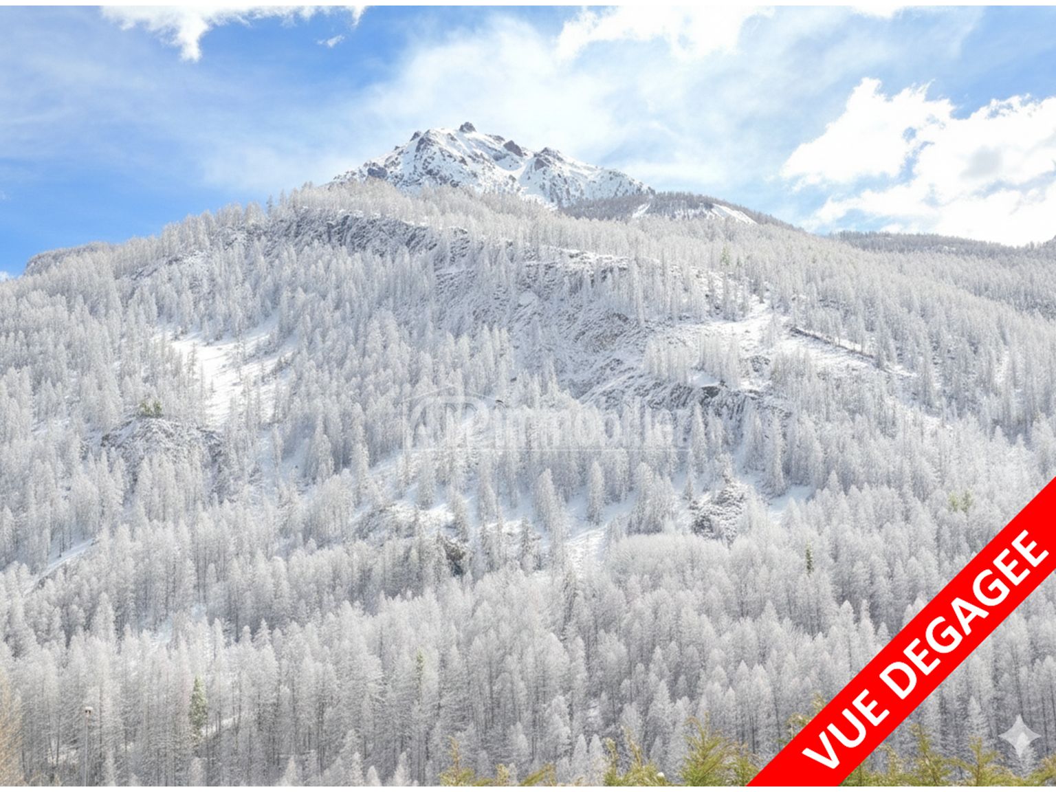 image du bien immobilier Appartement Duplex ST CHAFFREY