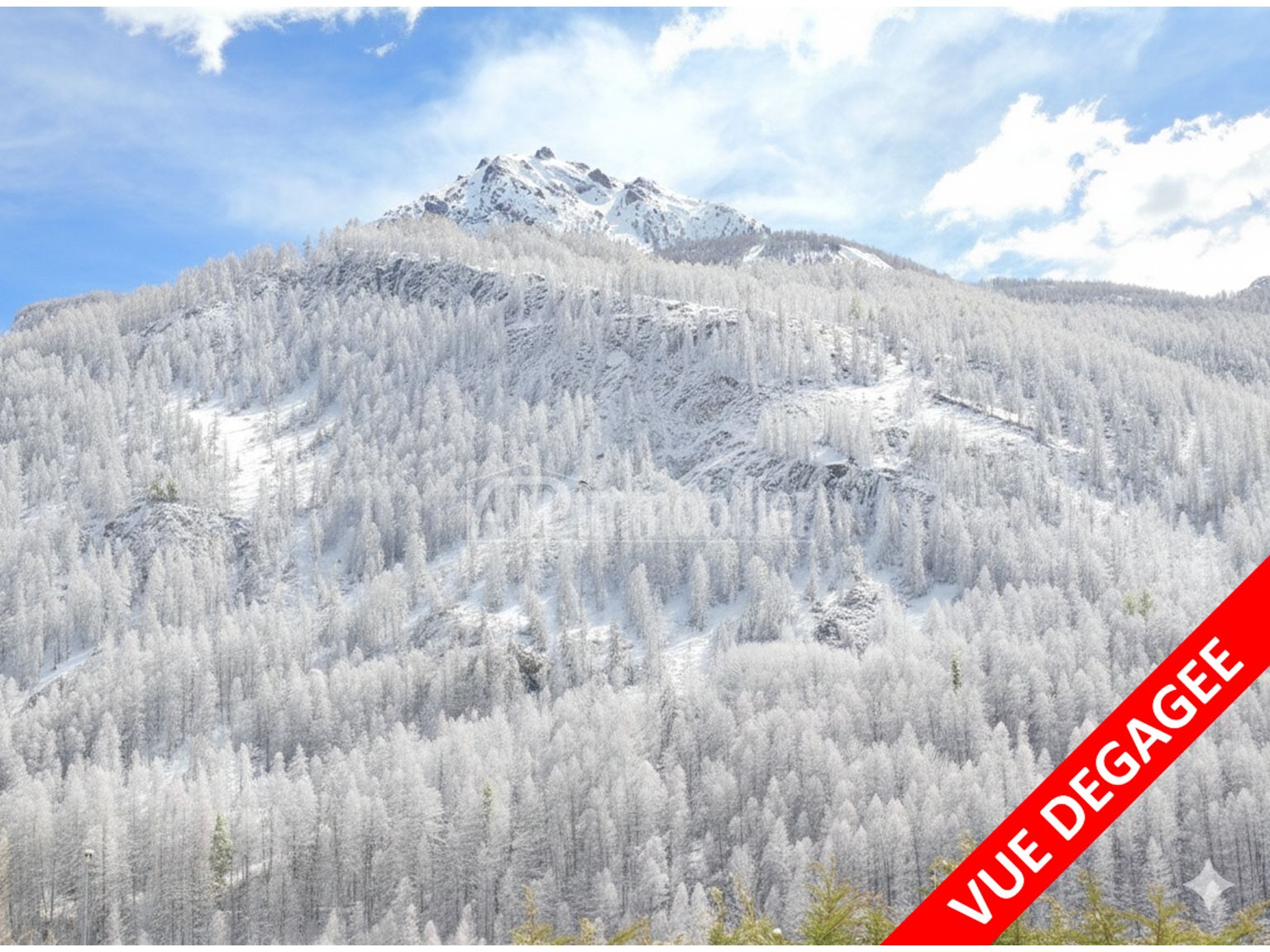 image du bien immobilier Appartement T2 ST CHAFFREY