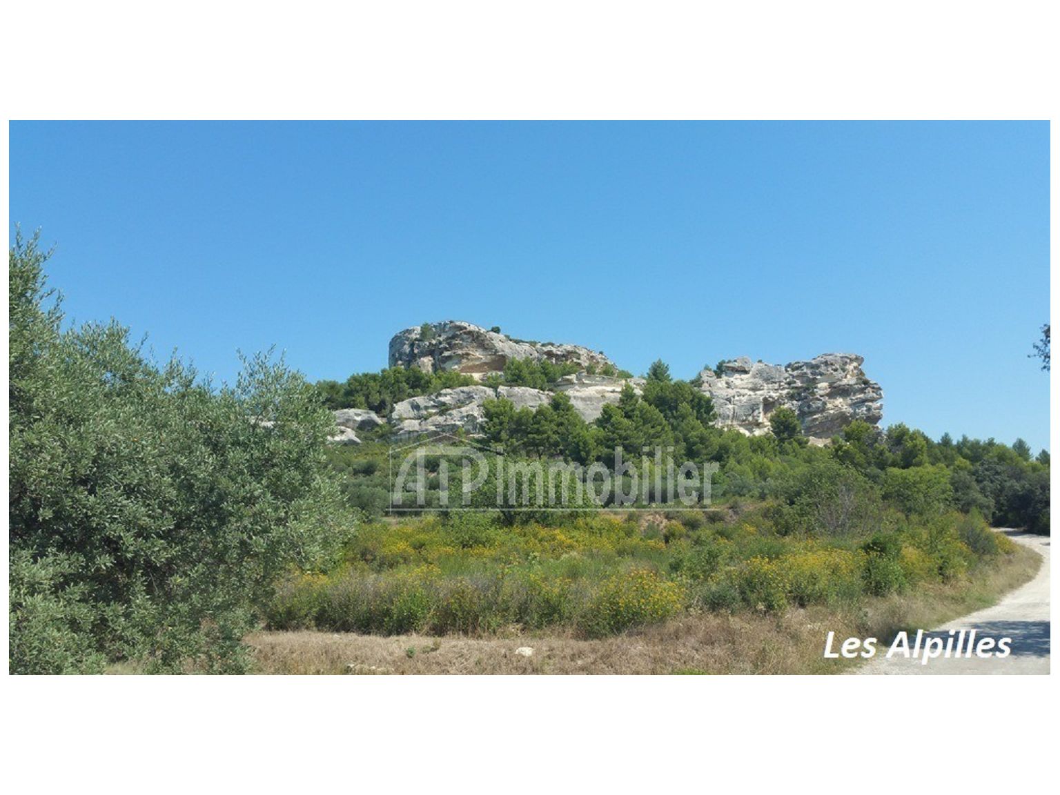 image du bien immobilier Maison ST ETIENNE DU GRES