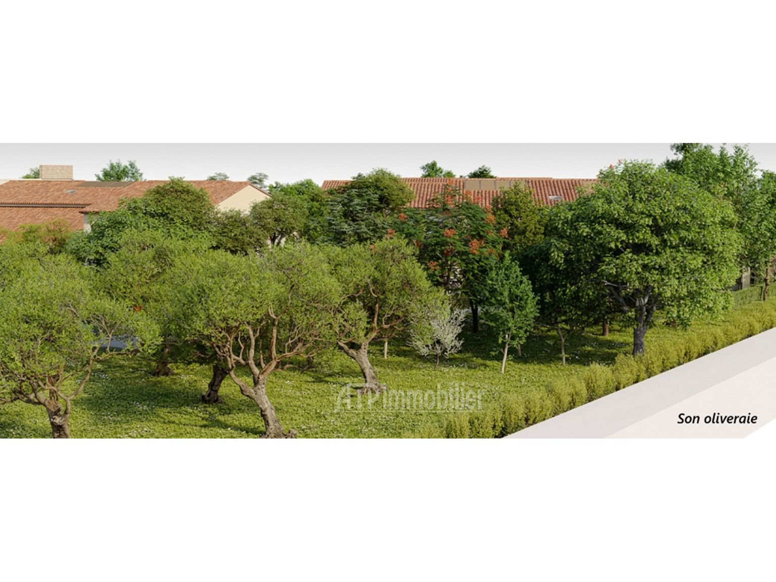 image du bien immobilier Appartement T2 AIX EN PROVENCE