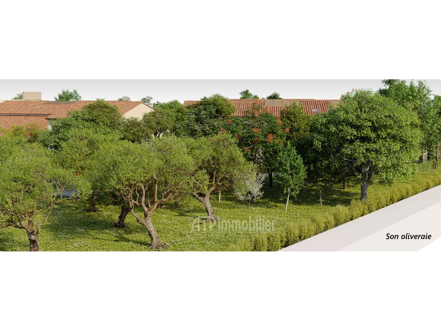 image du bien immobilier Appartement T4 AIX EN PROVENCE