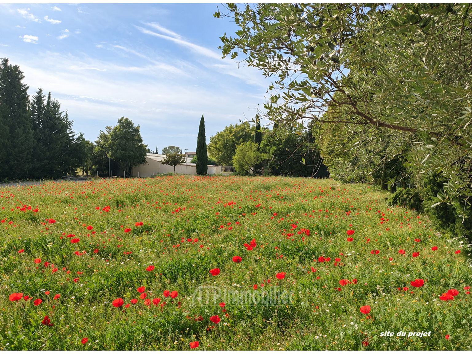 image du bien immobilier Appartement Appartement AVIGNON